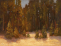 Mountain Meadow.png