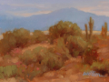 Sonoran Desert.png