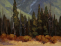 Vermillion Lakes Road.png
