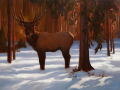 Winter Visitor.png