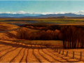 Looking West.png