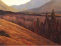 Back Way to Calgary.png