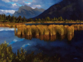 Vermillion Marsh.png