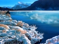 December Morning.jpg